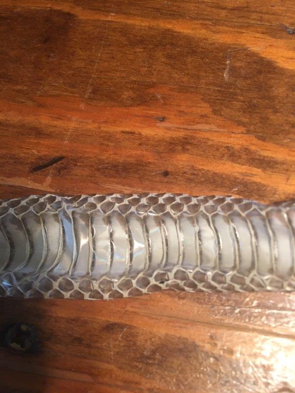 The Villages snake skin